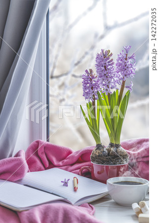 Early spring still life scene. Cup of coffee and marshmallow, opened notebook, pink plaid and candles on windowsill. Cozy Easter, vintage feminine styled photo 142272035