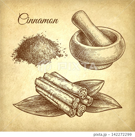 Cinnamon set. Ink sketch on old paper Cinnamon set. Ink sketch on old paper 142272299