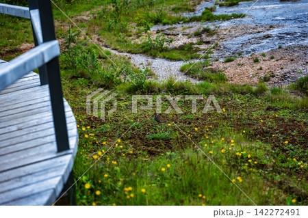 Adirondack Chair by Stream in Iceland Meadow with Wildflowers Adirondack Chair by Stream in Iceland Meadow with Wildflowers 142272491