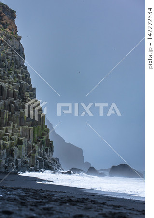 Dramatic Basalt Cliff and Black Sand Beach in Iceland 142272534