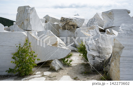 Large raw white marble blocks in a quarry. Rough unpolished stone pile with green plants growing between rocks. Industrial mining landscape under overcast sky 142273602