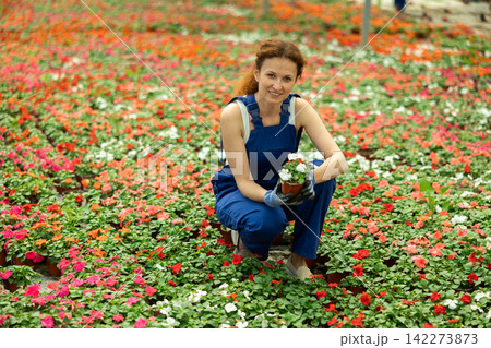 Woman Greenhouse Worker with Flowers Woman Greenhouse Worker with Flowers 142273873