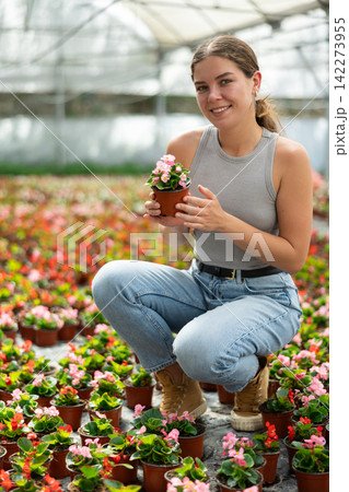 Portrait of girl chooses flowers begonia in greenhouse in spring time Portrait of girl chooses flowers begonia in greenhouse in spring time 142273955