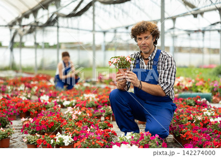 Male greenhouse worker with Flowers Male greenhouse worker with Flowers 142274000