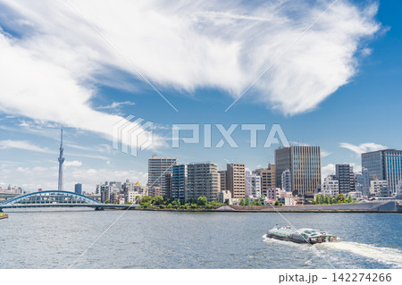 「東京都」東京スカイツリーと永代橋の風景 中央区 「東京都」東京スカイツリーと永代橋の風景 中央区 142274266