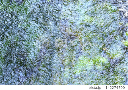 水中にに生える水藻に水面に生じるさざ波をとらえた背景素材 142274700