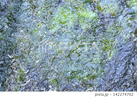 水中にに生える水藻に水面に生じるさざ波をとらえた背景素材 水中にに生える水藻に水面に生じるさざ波をとらえた背景素材 142274702