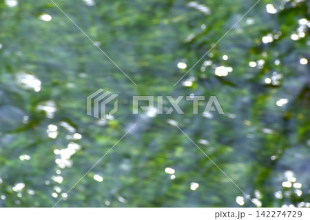 水中にに生える水藻に水面に生じるさざ波をとらえた背景素材 142274729