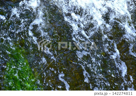 水中にに生える水藻に水面に生じるさざ波をとらえた背景素材 水中にに生える水藻に水面に生じるさざ波をとらえた背景素材 142274811