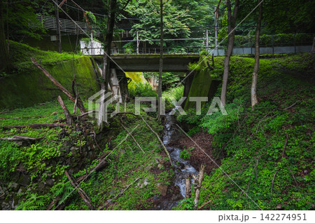 【旧信越本線新線】苔に覆われた鉄道遺構【碓氷峠】 142274951
