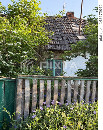 Old rural house with broken fence and blooming flowers Old rural house with broken fence and blooming flowers 142275040