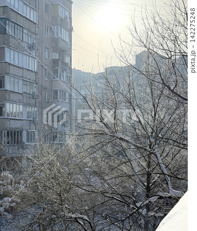Winter city view with frosted trees and buildings Winter city view with frosted trees and buildings 142275248