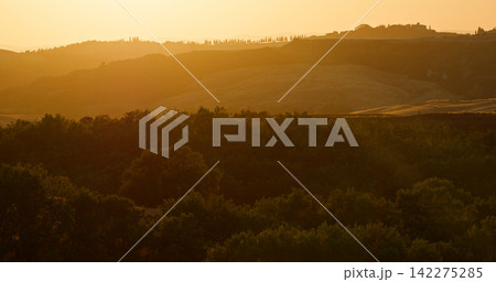 Tuscan hills and trees at golden sunset hour Tuscan hills and trees at golden sunset hour 142275285