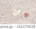 砂浜に転がるハートの形の貝殻 142275638