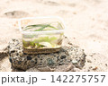 海の材料で作った美しい水槽 142275757