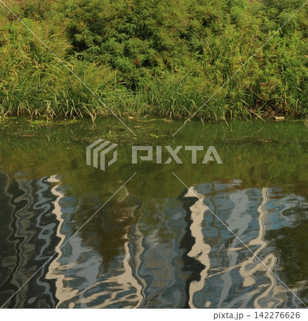 Distorted Reflection of Riverside Vegetation on Water Distorted Reflection of Riverside Vegetation on Water 142276626
