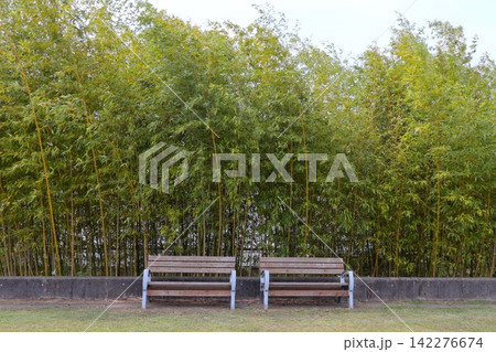 竹林とベンチ(高山竹林園・奈良県生駒市) 竹林とベンチ(高山竹林園・奈良県生駒市) 142276674