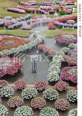 国営アルプスあづみの公園 サンパチェンスの水上花壇 国営アルプスあづみの公園 サンパチェンスの水上花壇 142276949
