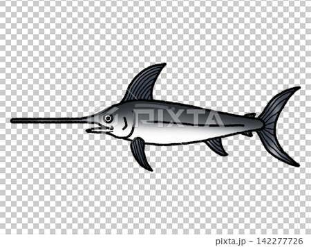 swordfish swordfish 142277726