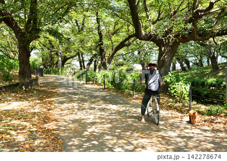 幸手市の権現堂土手で犬の散歩する自転車に乗る男性 幸手市の権現堂土手で犬の散歩する自転車に乗る男性 142278674
