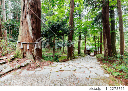 【滋賀県東近江市】百済寺 御神木と仁王門と参道 【滋賀県東近江市】百済寺 御神木と仁王門と参道 142278763