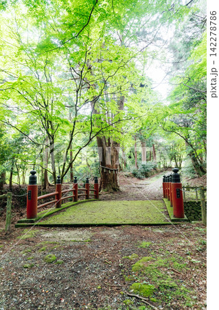 【滋賀県東近江市】百済寺 極楽橋 【滋賀県東近江市】百済寺 極楽橋 142278786