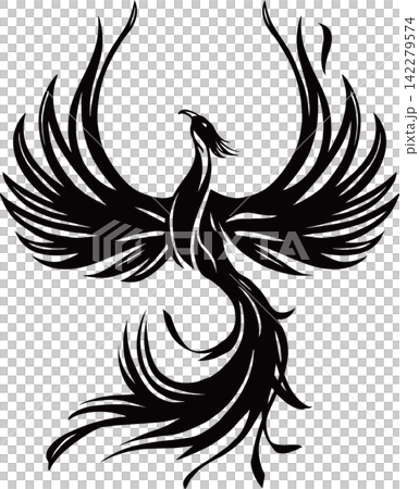 Phoenix Tribal Tattoo Illustration Material Phoenix Tribal Tattoo Illustration Material 142279574