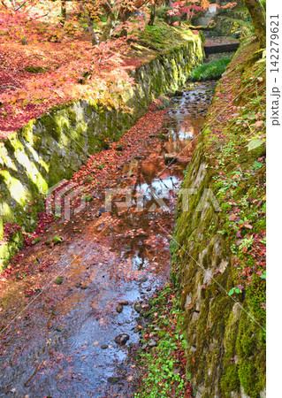 京都　東福寺　洗玉澗　秋の美しい紅葉の散りもみじ（京都府京都市東山区） 142279621