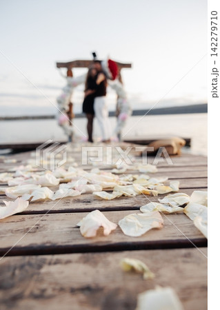 Soft petals drift across weathered wooden planks Soft petals drift across weathered wooden planks 142279710