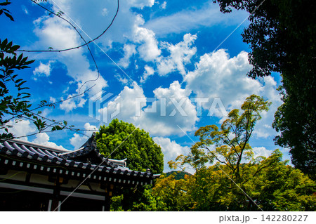 日野誕生院 親鸞聖人生誕の地に建つ雅な平安様式の寺院 日野誕生院 親鸞聖人生誕の地に建つ雅な平安様式の寺院 142280227