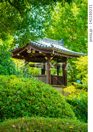 日野誕生院 親鸞聖人生誕の地に建つ雅な平安様式の寺院 日野誕生院 親鸞聖人生誕の地に建つ雅な平安様式の寺院 142280231
