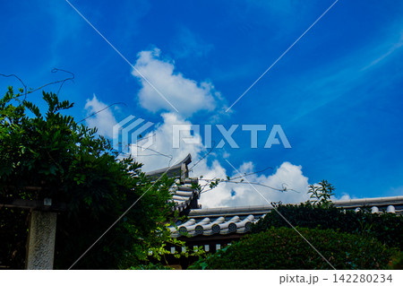 日野誕生院 親鸞聖人生誕の地に建つ雅な平安様式の寺院 日野誕生院 親鸞聖人生誕の地に建つ雅な平安様式の寺院 142280234
