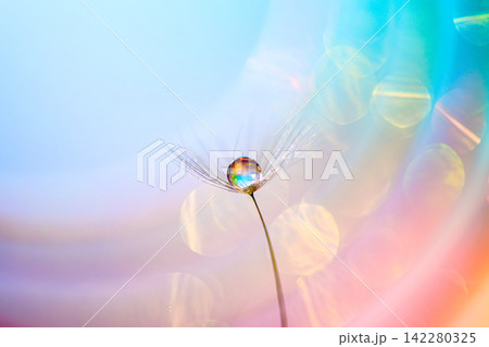 幻想的な風景を背景にタンポポの綿毛と雫が美しい 幻想的な風景を背景にタンポポの綿毛と雫が美しい 142280325