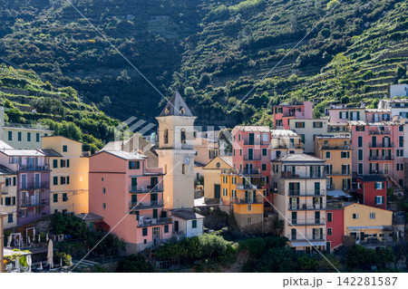 Vineyard in Manarola, Italy, within Cinque Terre National Park from telephoto town perspective 142281587