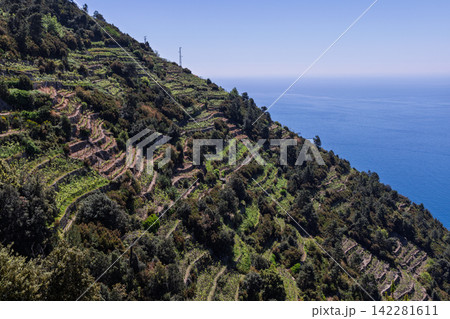 Cinque Terre in northwestern Liguria, Italy from wide elevated mountain perspective Cinque Terre in northwestern Liguria, Italy from wide elevated mountain perspective 142281611