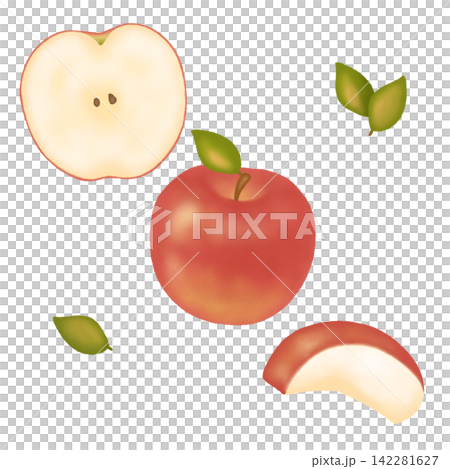 Apple illustration set: whole, cut, cross-section, and leaves - Autumn flavor Apple illustration set: whole, cut, cross-section, and leaves - Autumn flavor 142281627