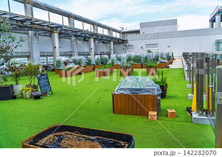デパートの屋上施設　東京都の都市風景　貸農園 142282070