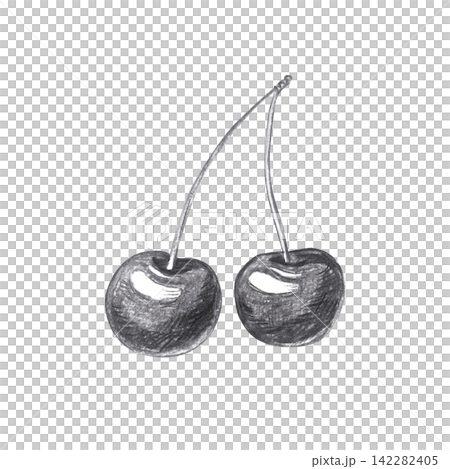 Two ripe cherry berries with stems. Hand drawn black charcoal organic fruit illustration isolated on. Realistic detailed monochrome sketch for botanical craft packaging decor 142282405