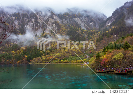 Autumn colorful forest and lake with mist at Jiuzhaigou, Sichuan, China Autumn colorful forest and lake with mist at Jiuzhaigou, Sichuan, China 142283124