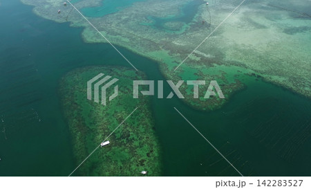 Coral reef and fish farm with cages for fish Coral reef and fish farm with cages for fish 142283527