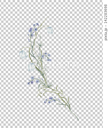 Hand-painted watercolor vertical bouquet of white fritillaria bells and pale blue forget-me-nots with slender sage stems over layered geometric blocks on white background. contemporary botanical art Hand-painted watercolor vertical bouquet of white fritillaria bells and pale blue forget-me-nots with slender sage stems over layered geometric blocks on white background. contemporary botanical art 142283698