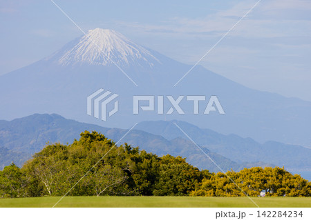 日本平から見る春の富士山 日本平から見る春の富士山 142284234