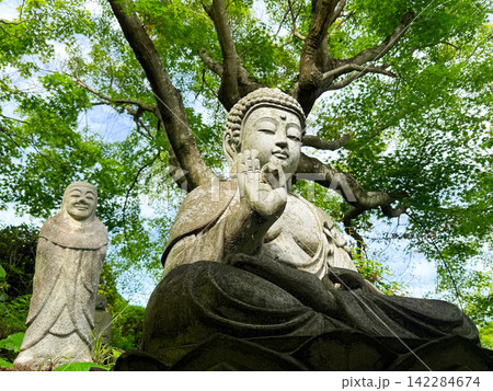 浜名湖湖北五山・方広寺の新緑に包まれた仏像 浜名湖湖北五山・方広寺の新緑に包まれた仏像 142284674