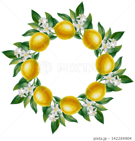 Watercolor wreath of lemon branches, flowers, and green leaves. Hand-drawn citrus fruits isolated on a white background. Suitable for Mediterranean-style designs, weddings, kitchen decor, packaging Watercolor wreath of lemon branches, flowers, and green leaves. Hand-drawn citrus fruits isolated on a white background. Suitable for Mediterranean-style designs, weddings, kitchen decor, packaging 142284904