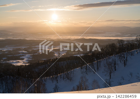 淡い夕日に照らされる雪の丘陵 淡い夕日に照らされる雪の丘陵 142286459