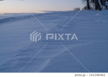風が刻んだ雪の斜面と木立 風が刻んだ雪の斜面と木立 142286462