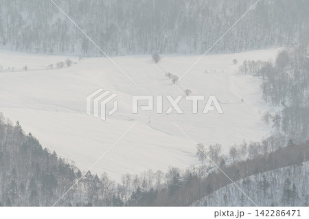 白一色に霞む雪原と点在する木 白一色に霞む雪原と点在する木 142286471