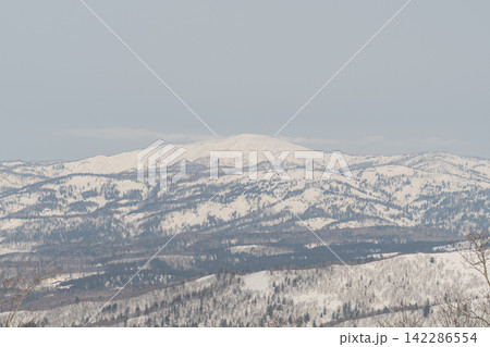 雪をかぶる山塊と冬枯れの林 雪をかぶる山塊と冬枯れの林 142286554