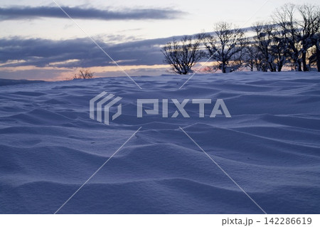 夕影が伸びる雪原の風紋 夕影が伸びる雪原の風紋 142286619