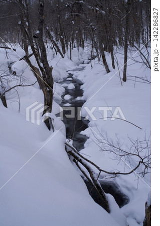 雪に埋もれた小川のせせらぎ 雪に埋もれた小川のせせらぎ 142286827